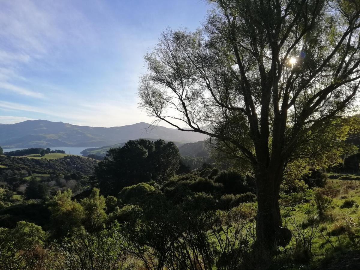 Glenwood Akaroa Bush Retreat - Kanuka Hut Exterior photo